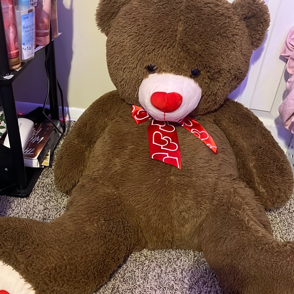 A comfortable beautiful huge bear ❤️